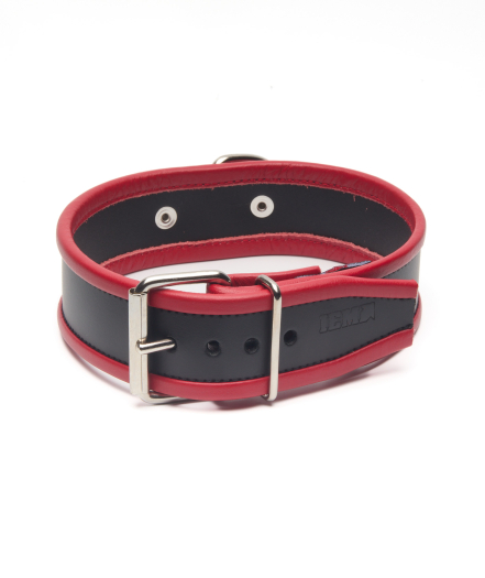COLLIER EN CUIR IEM AVEC ANNEAU - ROUGE