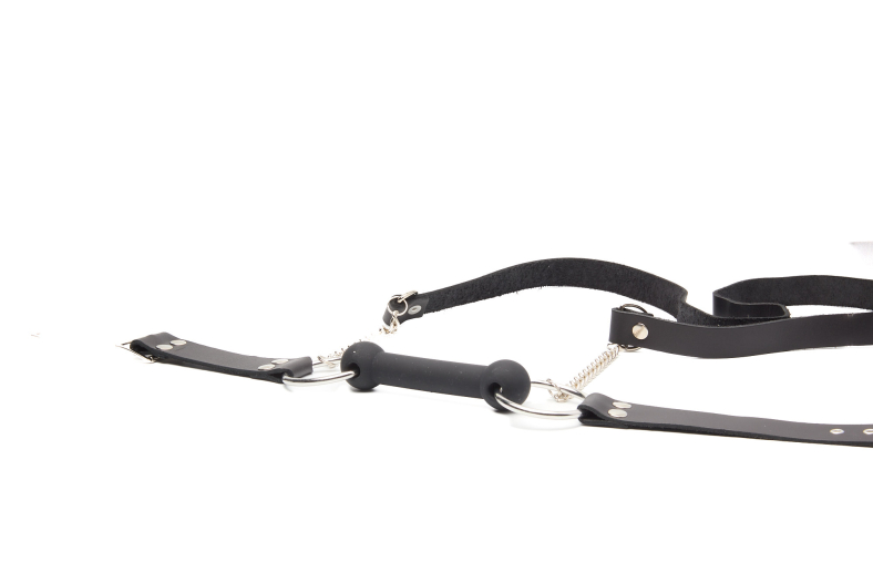 MORS CHEVAL AVEC RENNES