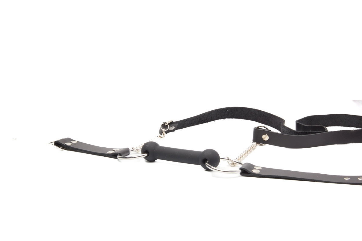 MORS CHEVAL AVEC RENNES