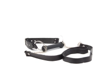 MORS CHEVAL AVEC RENNES