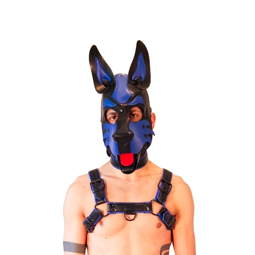 CAGOULE PUPPY BRUTUS EN CUIR VEGAN - BLEU