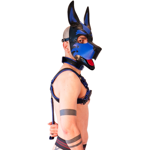 HARNAIS BULLDOG BRUTUS EN SILIMICUIR - BLEU