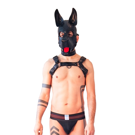 HARNAIS BULLDOG BRUTUS EN SILIMICUIR - NOIR