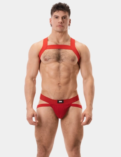 HARNAIS MATT – ROUGE