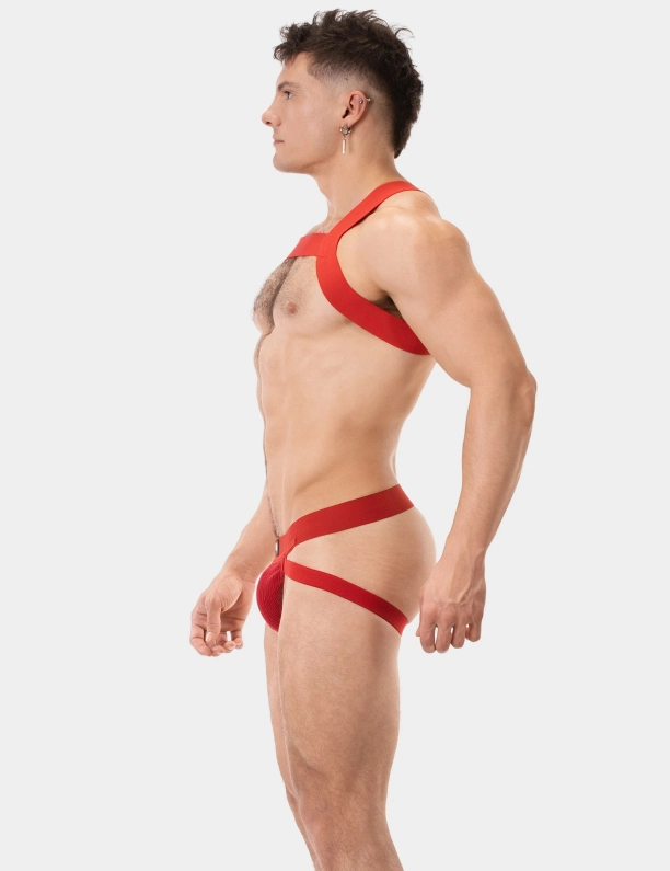 HARNAIS MATT – ROUGE