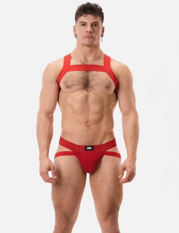 JOCKSTRAP ANTON – ROUGE