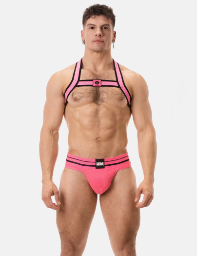 JOCKSTRAP ANDREUS – ROSE