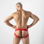 JOCK BRIEF OPEN ACCESS – ROUGE