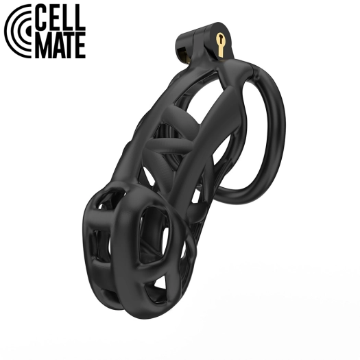 CAGE DE CHASTETÉ GUARDIAN – TAILLE 4