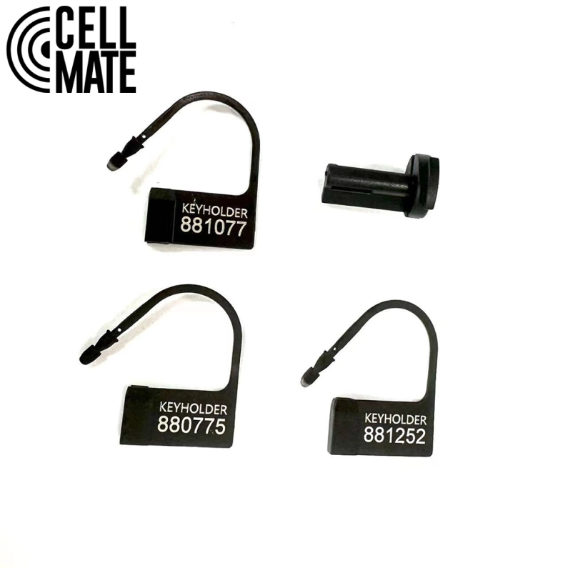 CAGE DE CHASTETÉ GUARDIAN – TAILLE 0