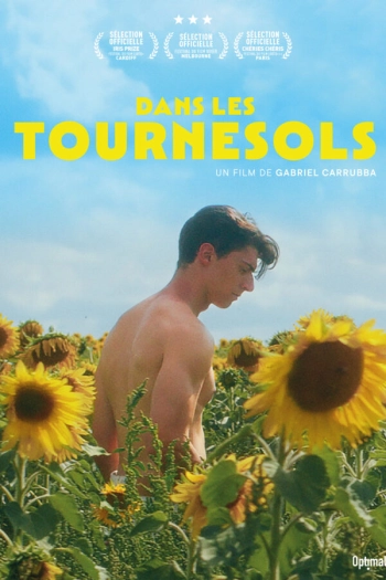 DANS LES TOURNESOLS