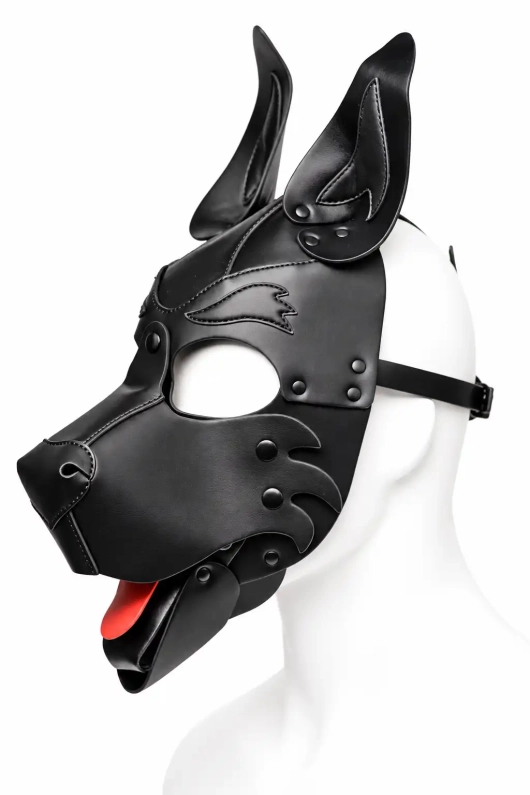 CAGOULE PUPPY BRUTUS EN CUIR VEGAN – NOIR