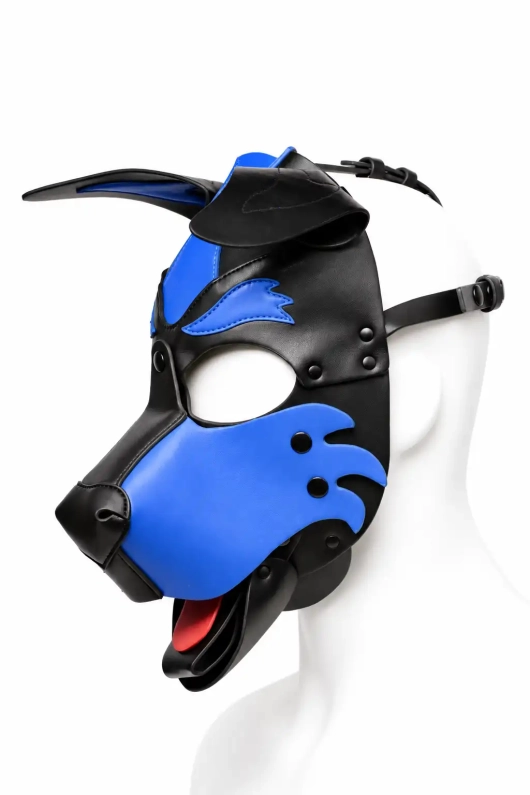 CAGOULE PUPPY BRUTUS EN CUIR VEGAN – BLEU