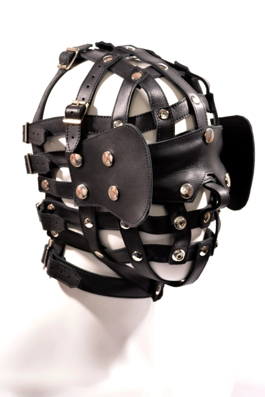HARNAIS DE TÊTE IEM EN CUIR