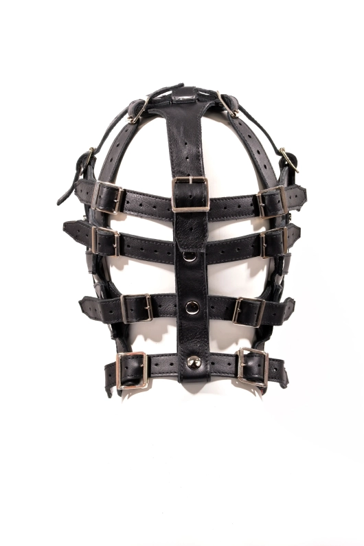 HARNAIS DE TÊTE IEM EN CUIR