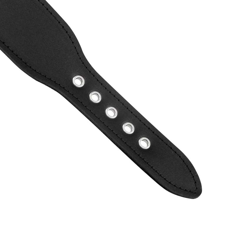 COLLIER ÉLECTRIQUE BIPOLAIRE EN CUIR