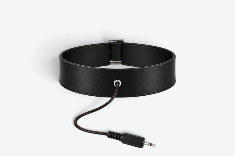 COLLIER ÉLECTRIQUE BIPOLAIRE EN CUIR