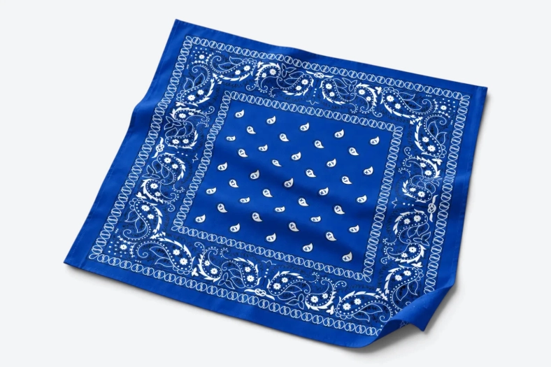 BANDANA – BLEU
