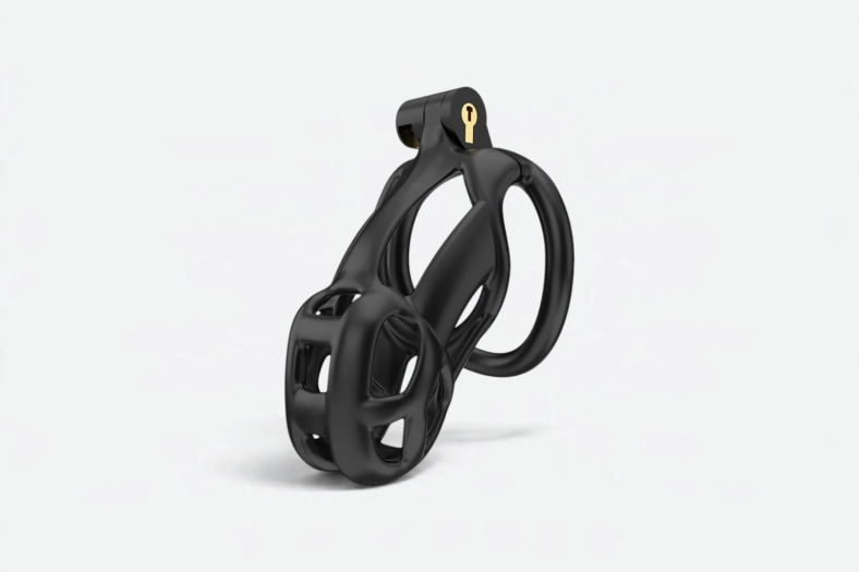 CAGE DE CHASTETÉ GUARDIAN – TAILLE 2