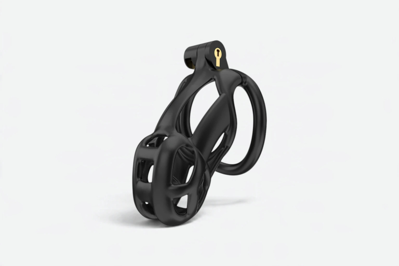 CAGE DE CHASTETÉ GUARDIAN – TAILLE 2