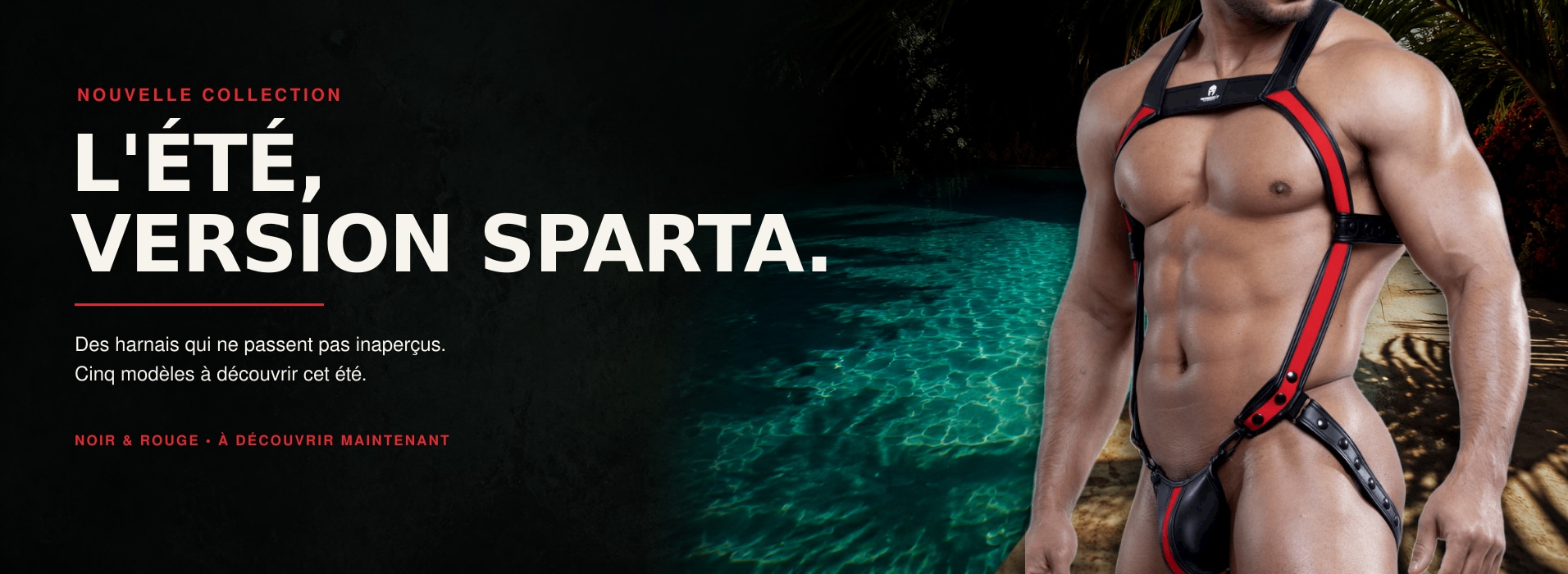 Harnais Sparta